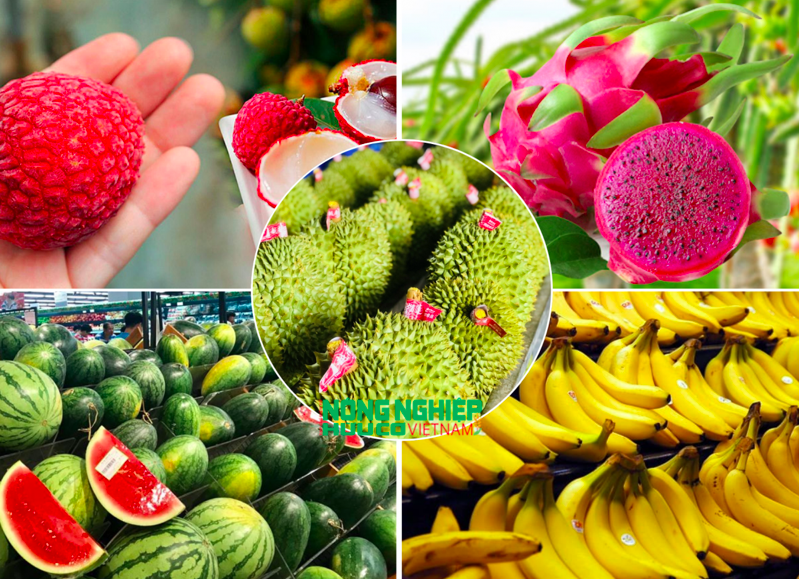 Seasonal Fruits in Vietnam